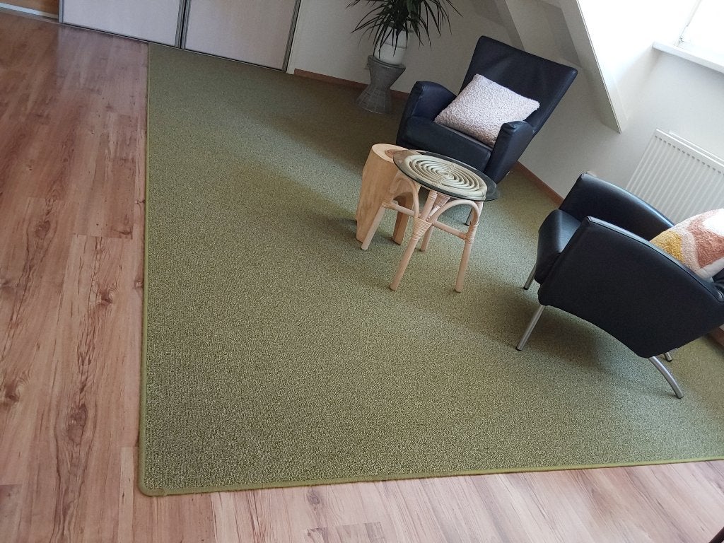 Vloerkleed 400x256 olijfgroen, Ophalen, Gebruikt, 200 cm of meer, 200 cm of meer