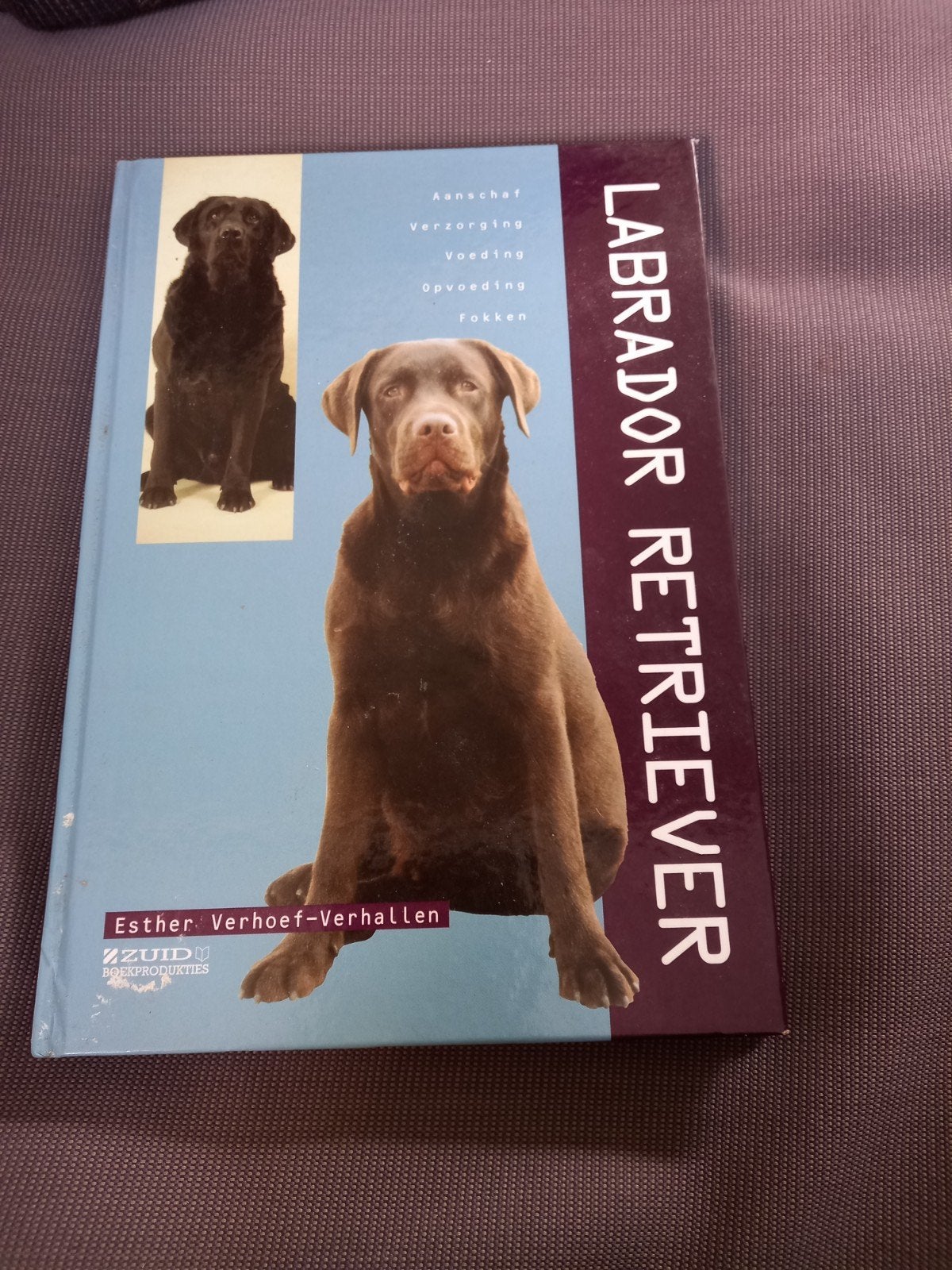 Labrador Retriever Boek - Alles over de Labrador, Ophalen of Verzenden, Gelezen, Honden, Esther Verhoef-Verhallen