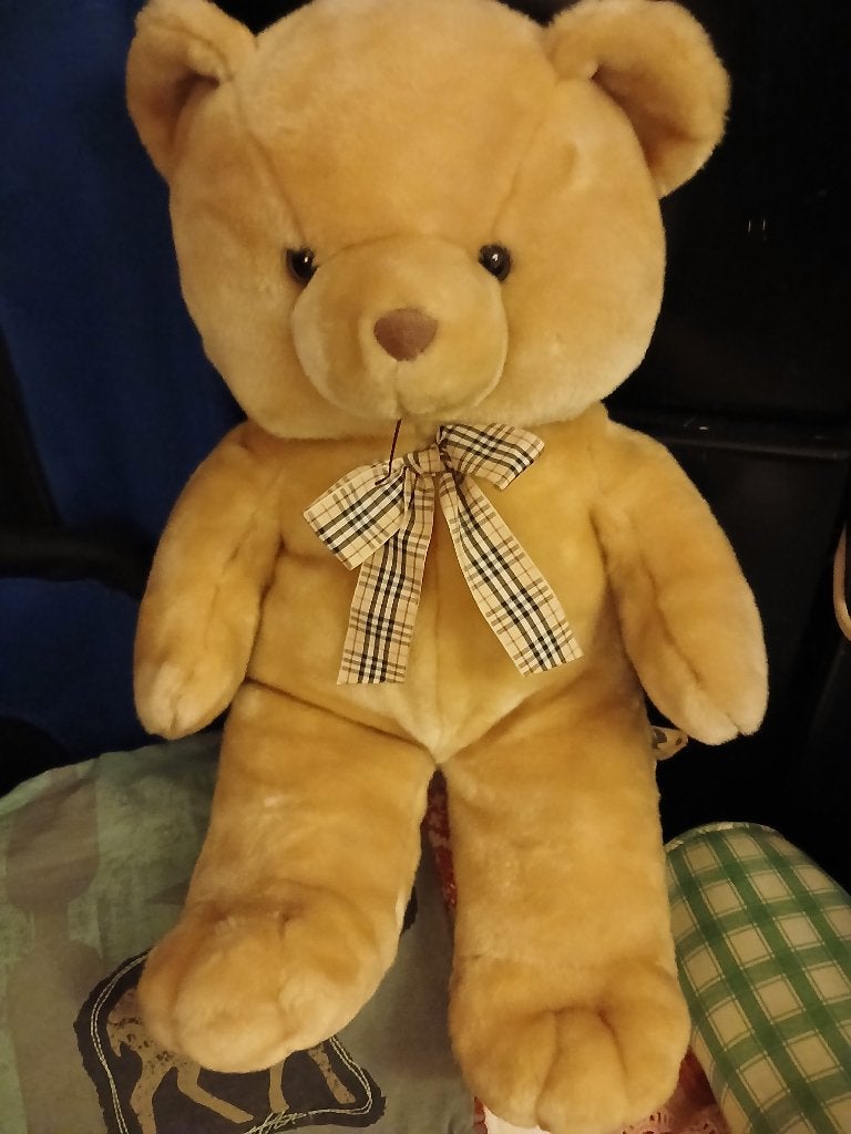 Teddybeer, Kinderen en Baby's, Overige merken, Overige karakters, Beer, Ophalen of Verzenden