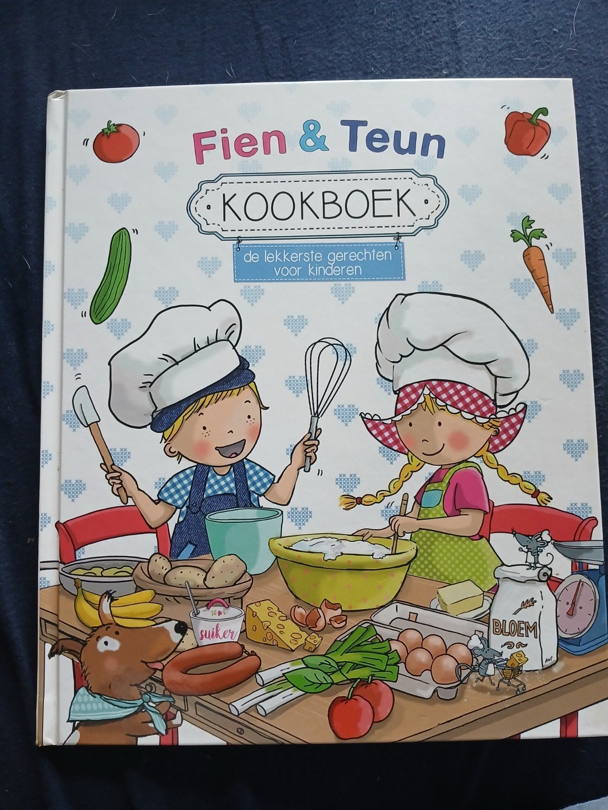 Fien & Teun Kookboek - Zo goed als nieuw, Ophalen, Overige typen, Zo goed als nieuw, Fien en Teun