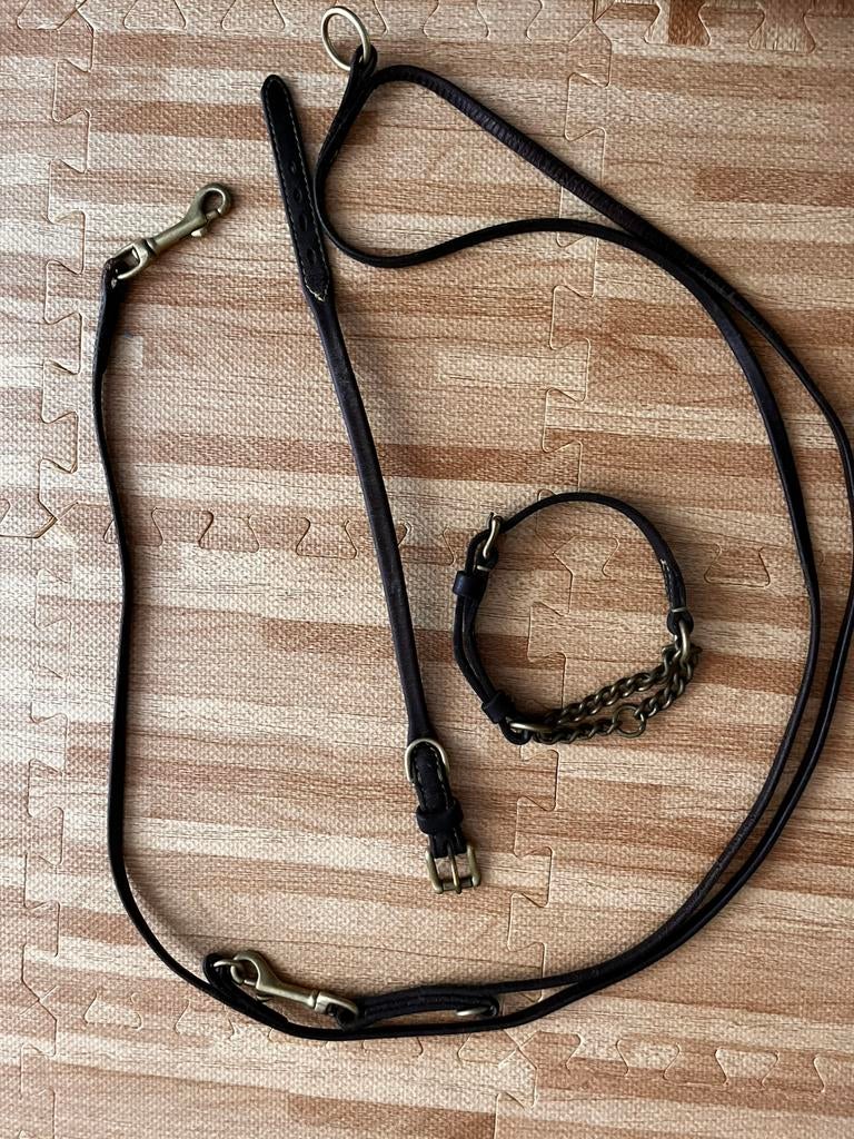 Leren honden set, Ophalen of Verzenden, Gebruikt