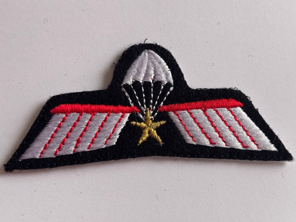 KCT Parawing A DT, Verzenden, Landmacht, Nederland, Kleding of Schoenen