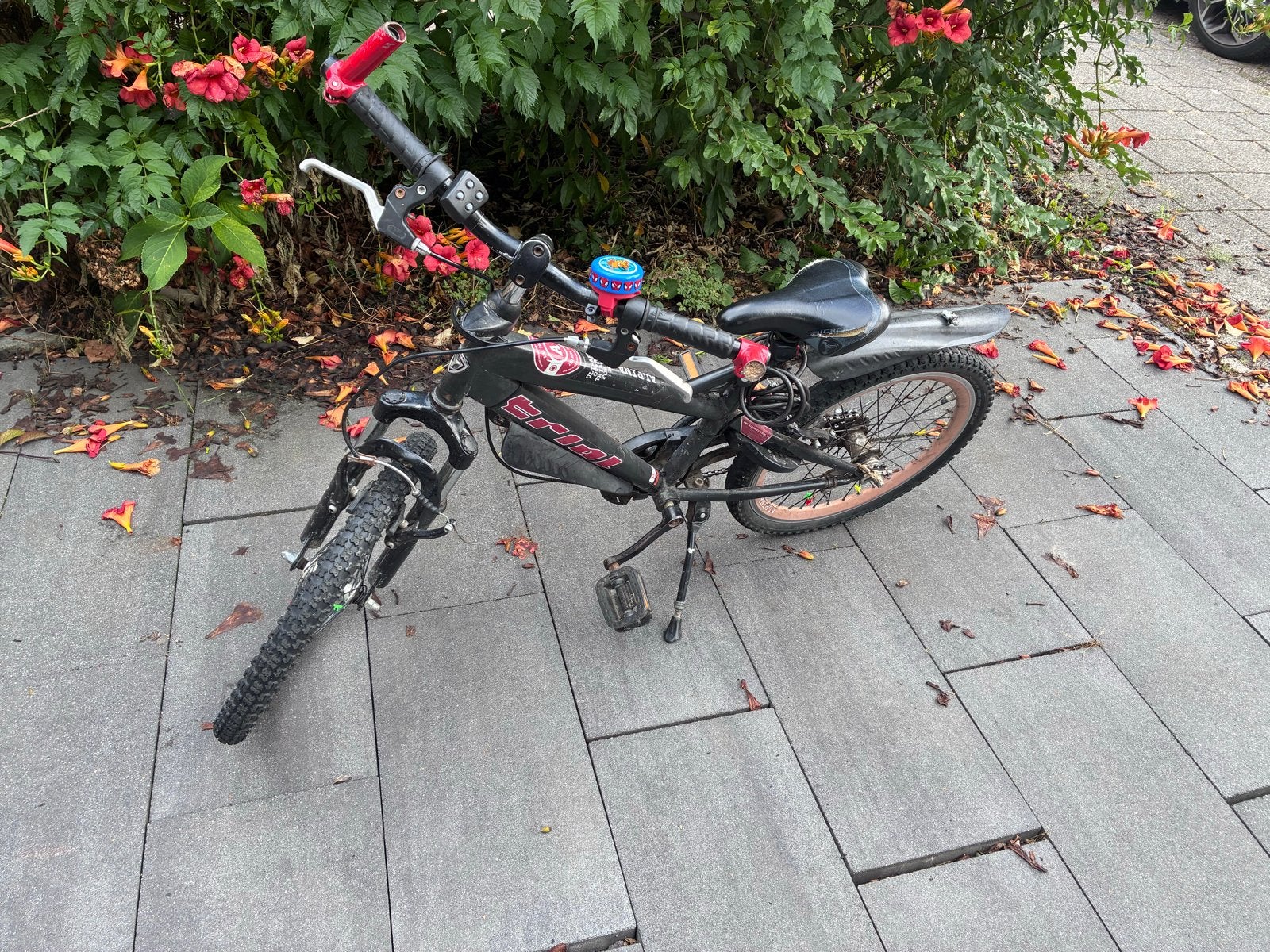 Kinderfiets alpina, Fietsen en Brommers, Fietsen | Kinderfietsjes, Ophalen, Gebruikt, Velgrem, 20 inch of meer