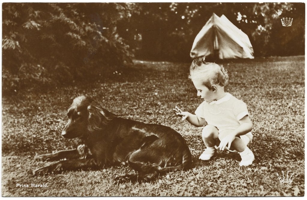 Noorwegen (10) Harald, Ophalen of Verzenden, Nieuw, Buitenland, Kaart, Foto of Prent
