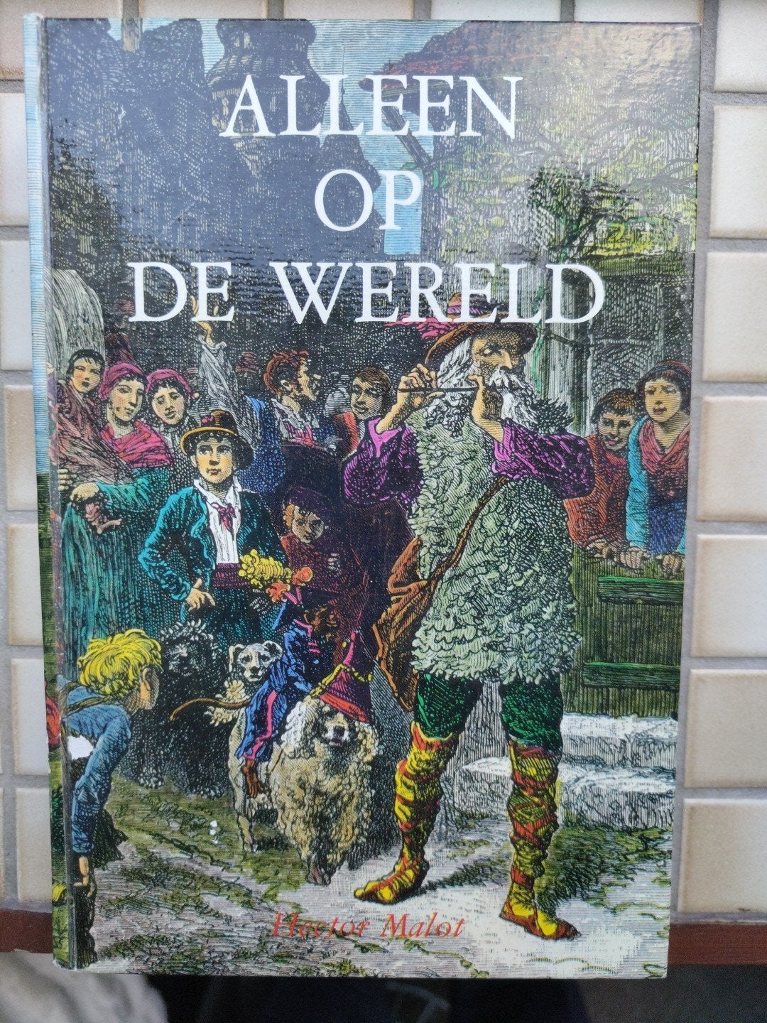 Alleen op de wereld, van Hector Malot., Ophalen of Verzenden