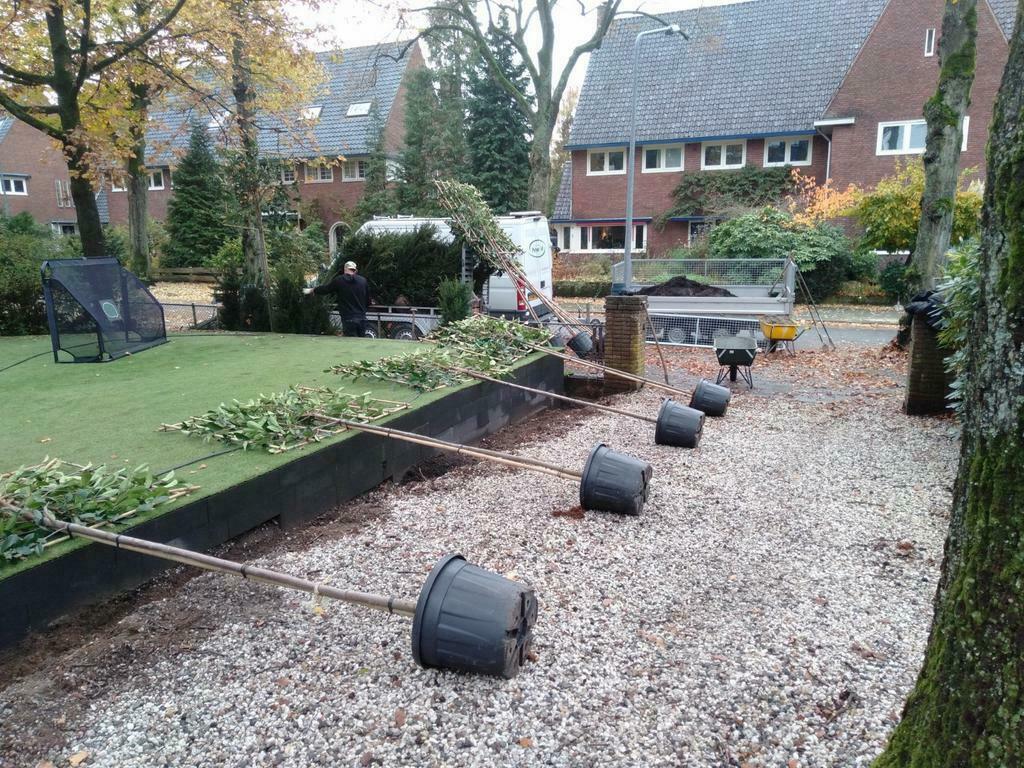 Hoveniers tuinman, Garantie, Bestrating
