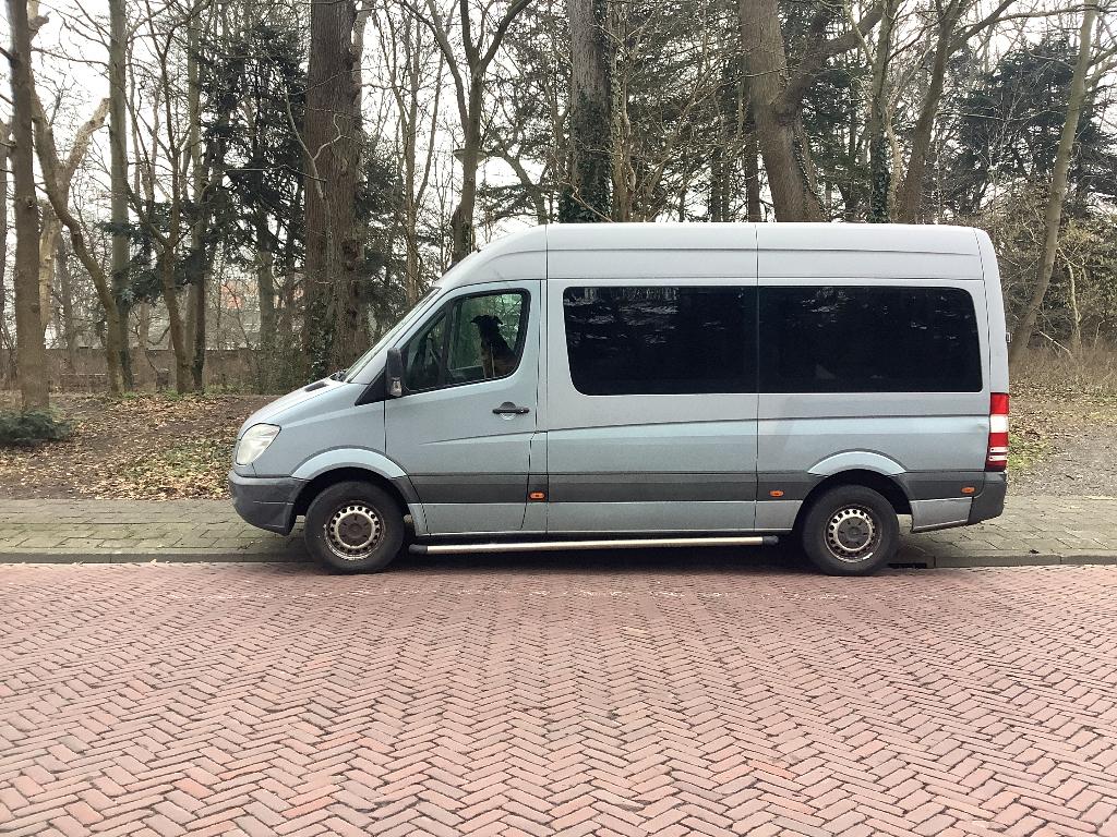 Mercedes-Benz Sprinter automaat achterwiel. ,camper kenteken, Auto's, Mercedes-Benz, Particulier, Sprinter Combi, Diesel, Euro 5