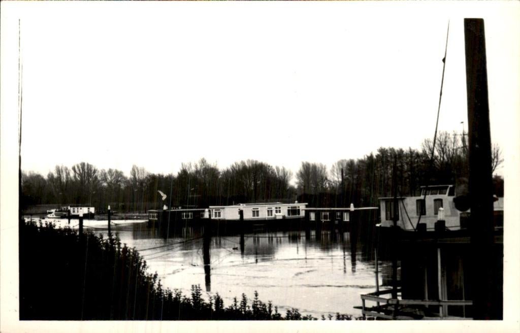Dordrecht - Foto (kaart) - Park - Woonboot, Ophalen of Verzenden, 1940 tot 1960, Ongelopen, Zuid-Holland