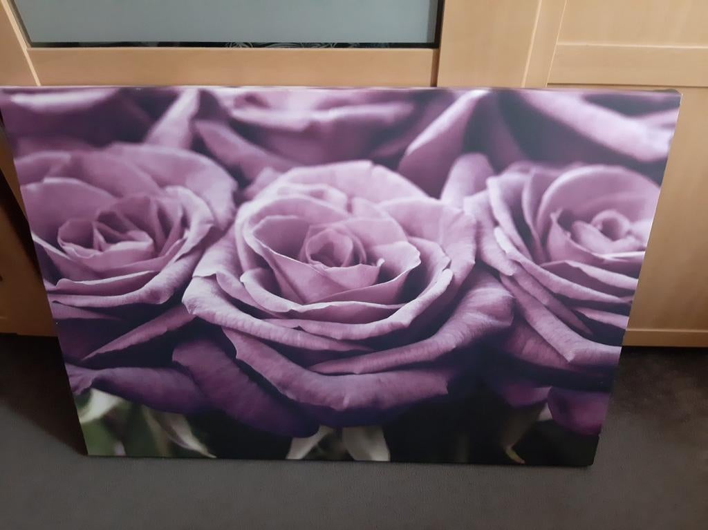 Canvas Roos, Ophalen, Schilderij, Minder dan 50 cm