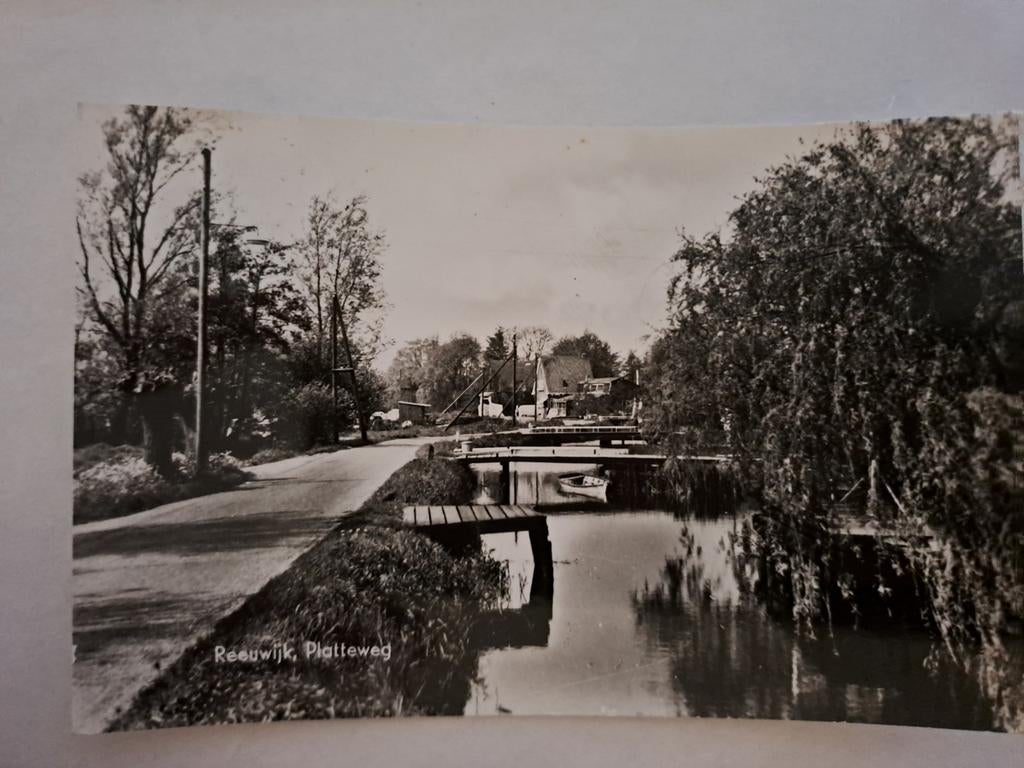 Reewijk Platteweg, Ophalen of Verzenden
