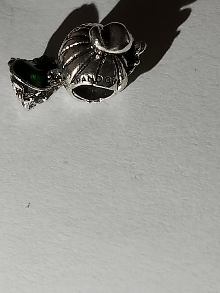 Bedel disney prinses, Overige merken, Nieuw, Ophalen of Verzenden, 1 bedel
