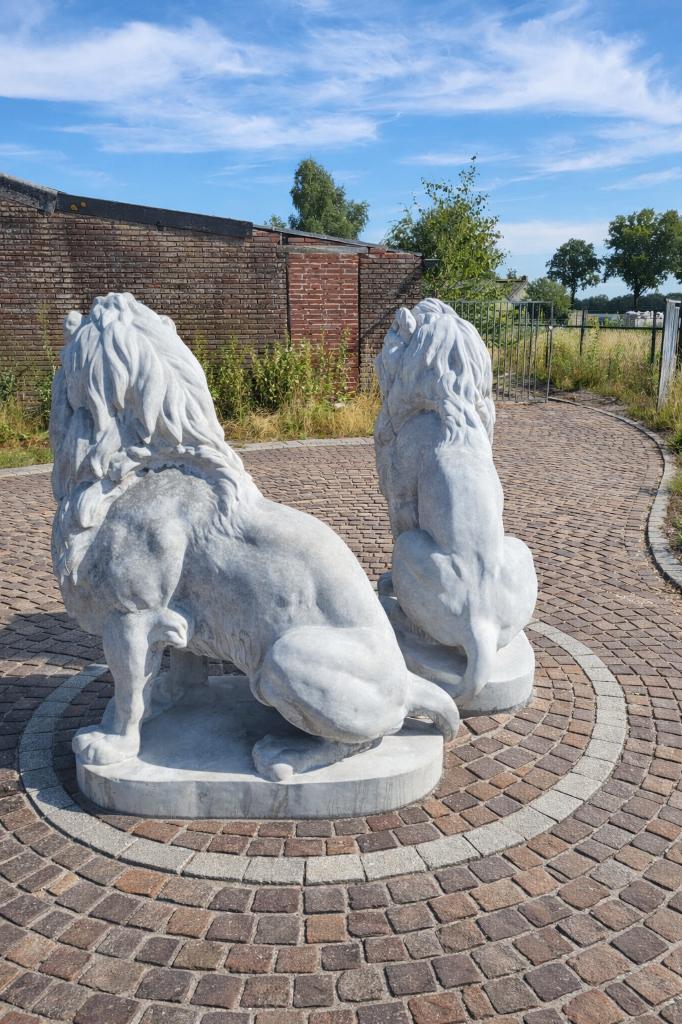 Kolossale set betonnen leeuwen, Tuin en Terras, Tuinbeelden, Ophalen, Nieuw, Beton, Dierenbeeld