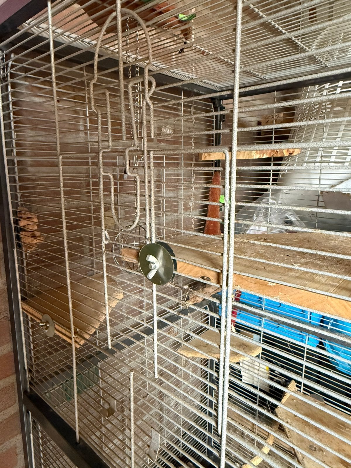 Knaagdier/vogelkooi incl toebehoren, Dieren en Toebehoren, Kooi, Ophalen of Verzenden, Eekhoorn, 90 cm of meer