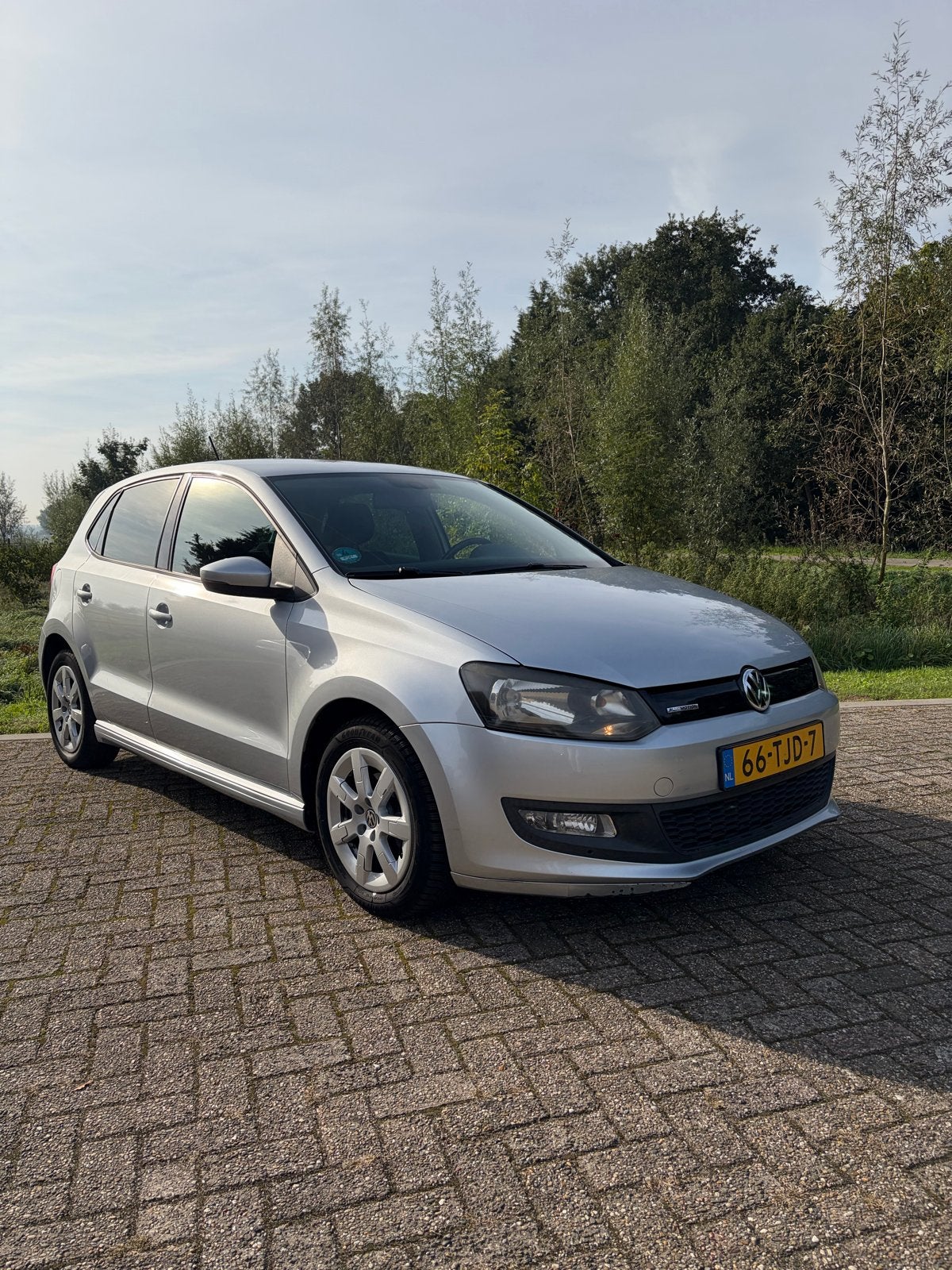 Volkswagen Polo 1.2 TDI 55KW BM 2012 Grijs, Voorwielaandrijving, 74 pk, 1199 cc, 96 €/maand