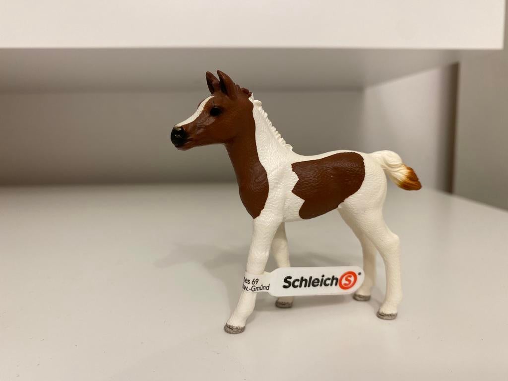 Schleich Pinto Arabier Veulen met Vaan ~ 13839, Ophalen of Verzenden, Nieuw, Paard, Beeldje of Figuurtje