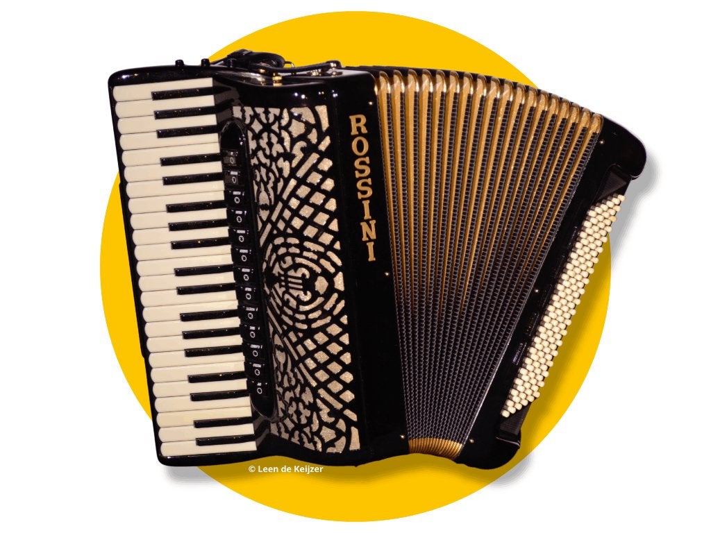 Rossini Pro Resonator, Muziek en Instrumenten, Accordeons, Met koffer, Toetsaccordeon, Zo goed als nieuw, 120-bas