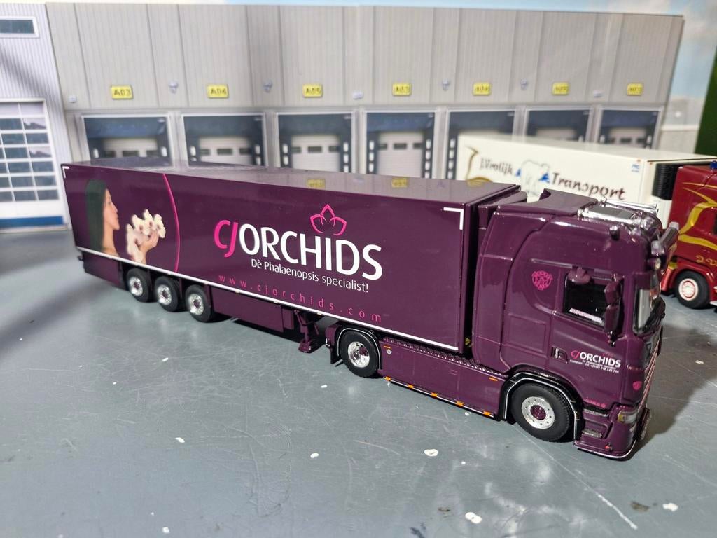 Scania met koeltrailer wsi van ORCHIDS GAMEREN