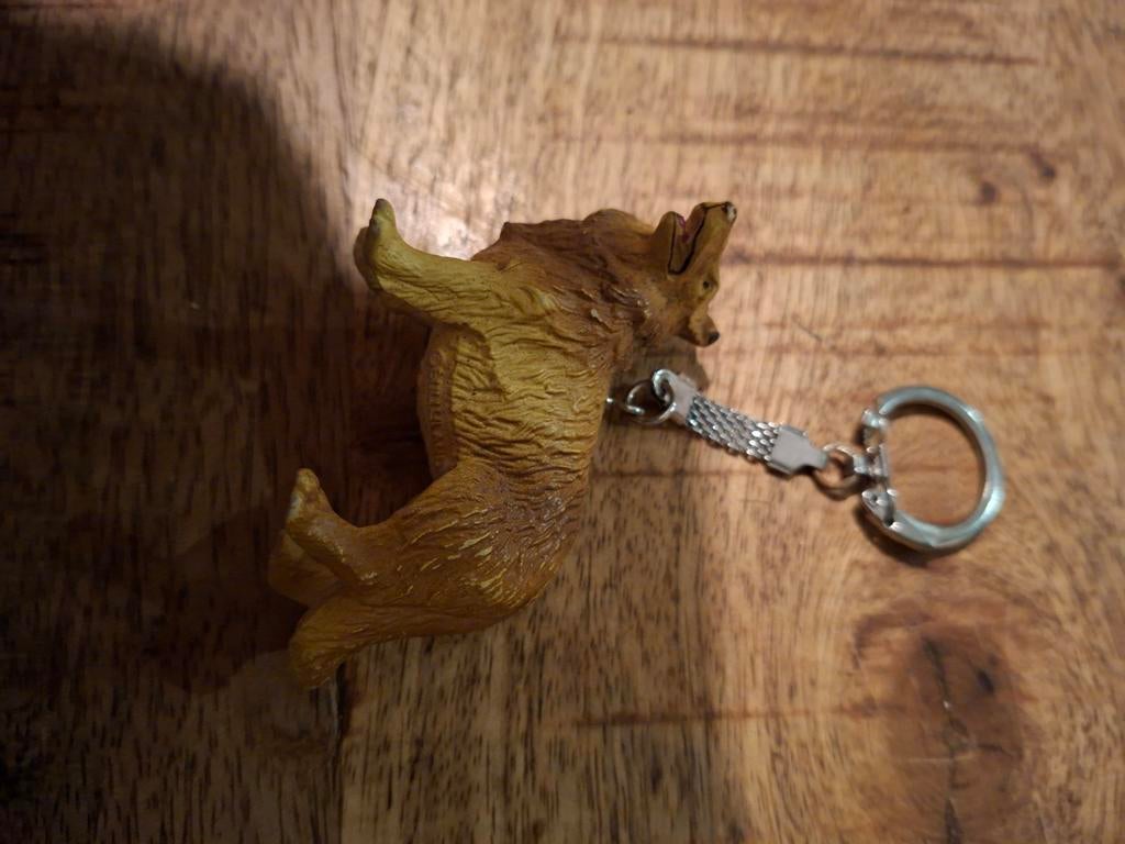 Schotse collie, Ophalen of Verzenden, Zo goed als nieuw, Dier of Natuur