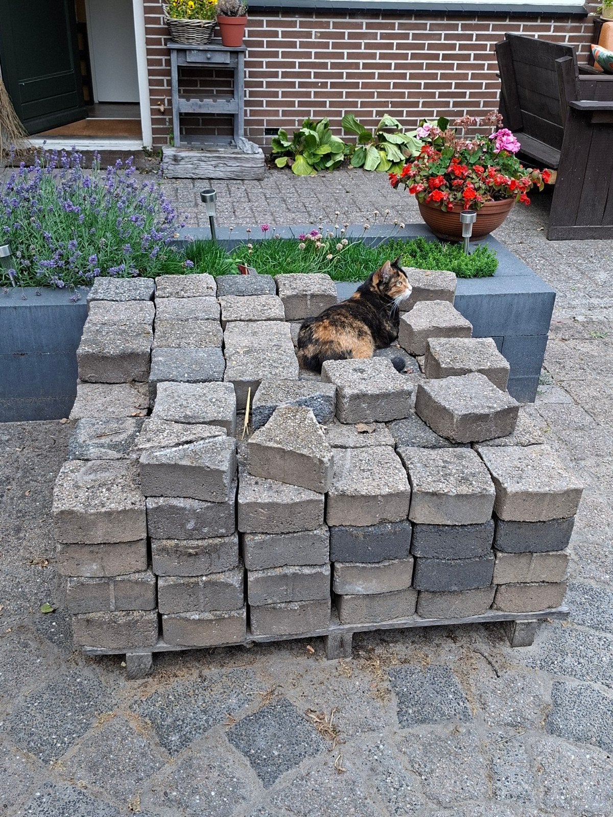 Stenen | tegels | klinkers  (GRATIS‼️), Ophalen, Gebruikt, Klinkers, 5 tot 10 m²