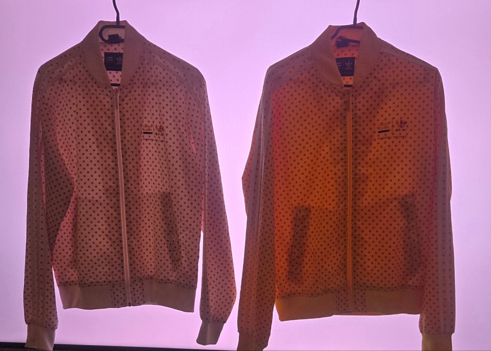 2 x Adidas x Pharrell Williams artiesten shirtjes, Ophalen of Verzenden, Nieuw, Meerkleurig, Adidas