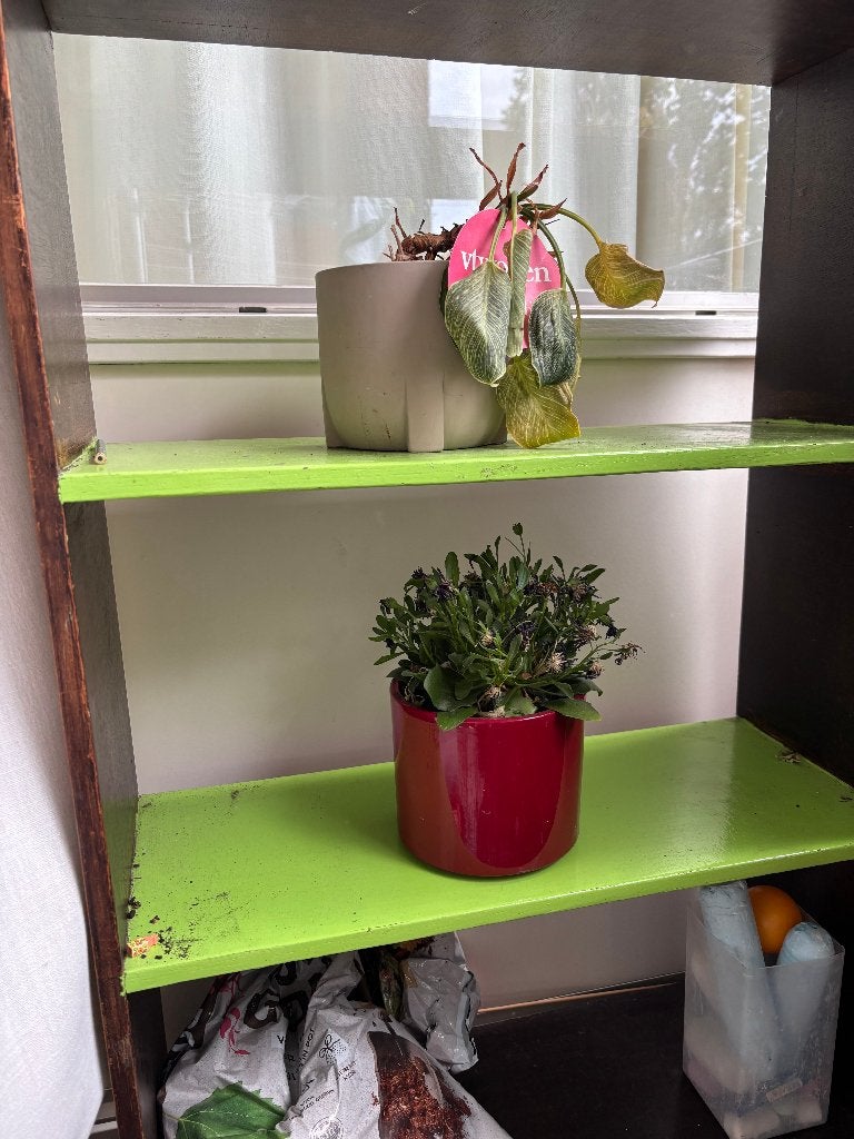 plantenrek, Ophalen, Gebruikt, Balkon, Vierkant