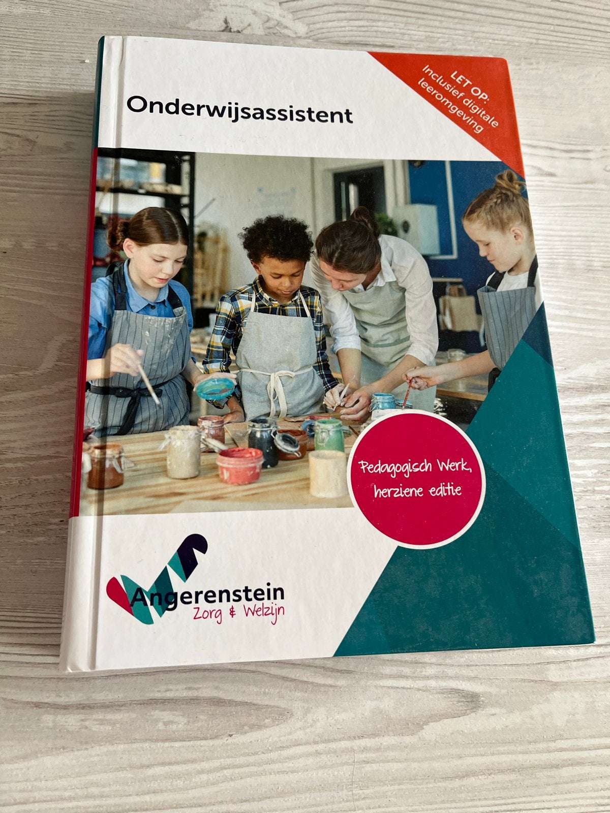 Onderwijsassistent - Pedagogisch Werk, herziene editie, Boeken, Schoolboeken, Ophalen, Zo goed als nieuw, Overige niveaus, Overige vakken