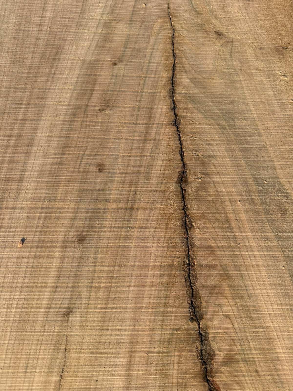 Mooie iepen boomstambladen voor 80 euro !!, Ophalen, Zo goed als nieuw, 250 cm of meer, Planken