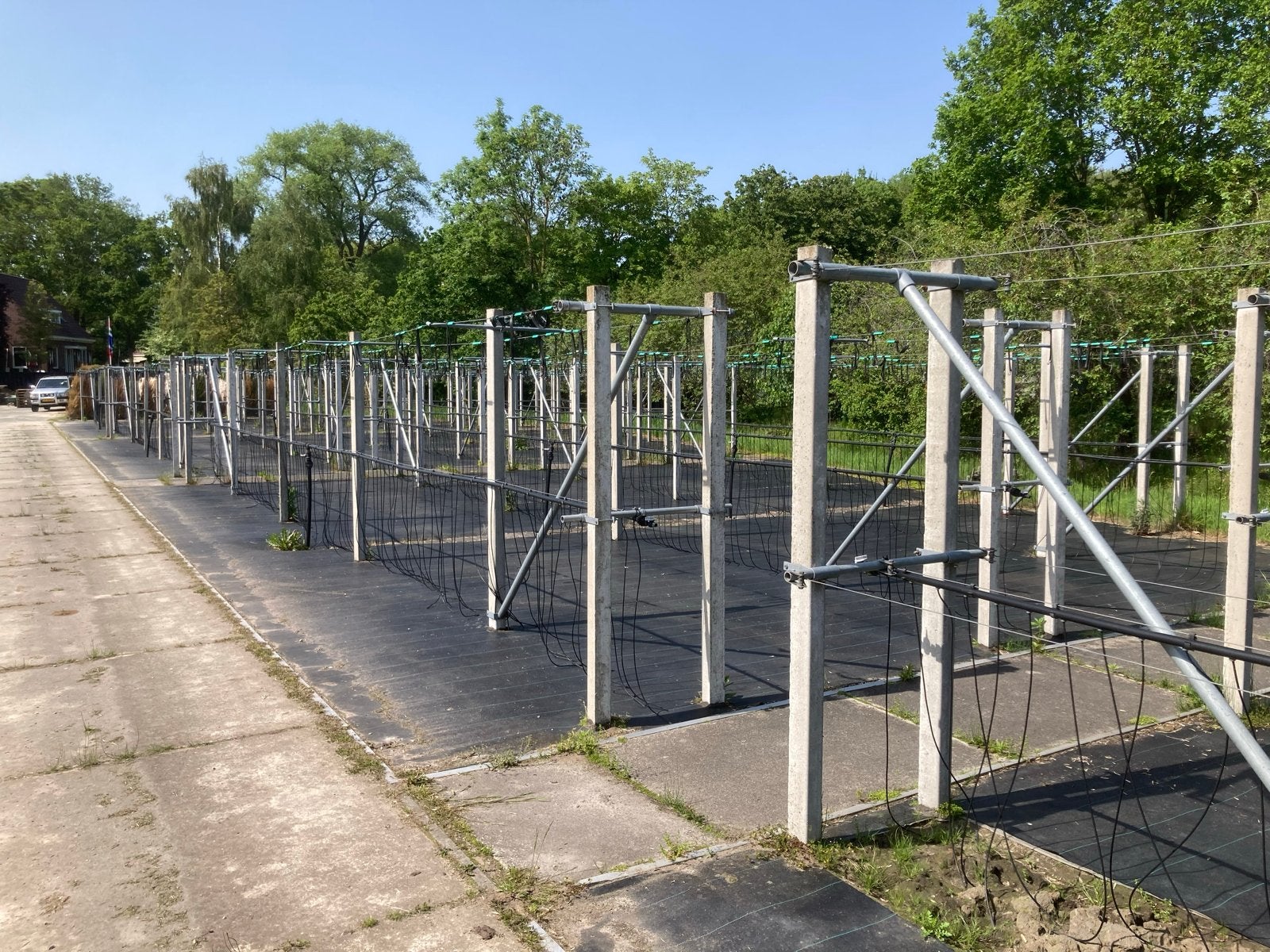 Containerveld boomkwekerij met druppelsysteem, Ophalen