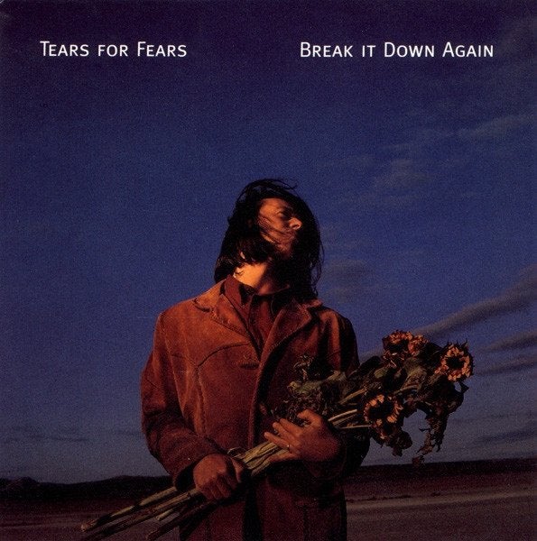 Tears For Fears Break It Down Again CD single, Ophalen of Verzenden, Zo goed als nieuw, Pop