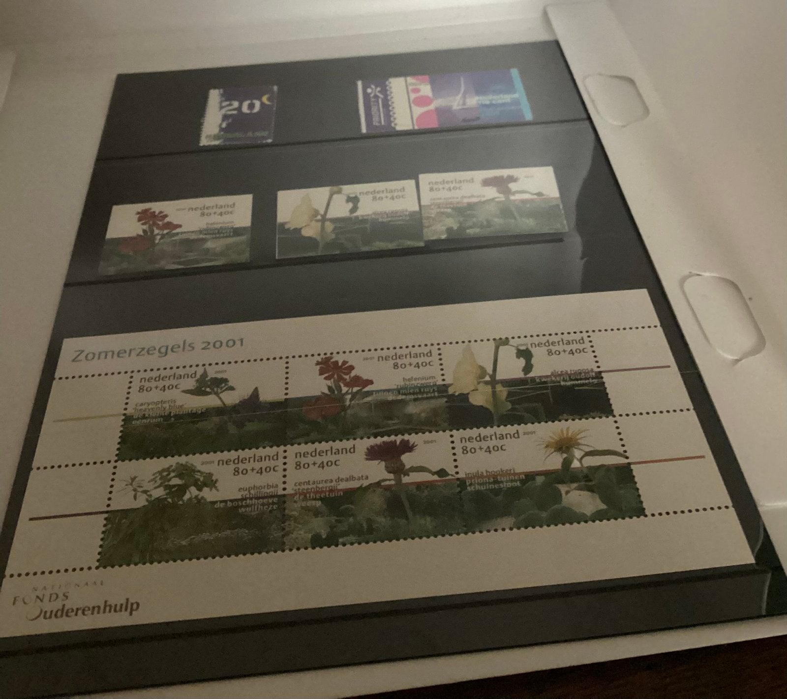 Nederland 2001 – Zomerzegels – bloemen en planten – postfris, Postzegels en Munten, Ophalen of Verzenden, Na 1940, Postfris