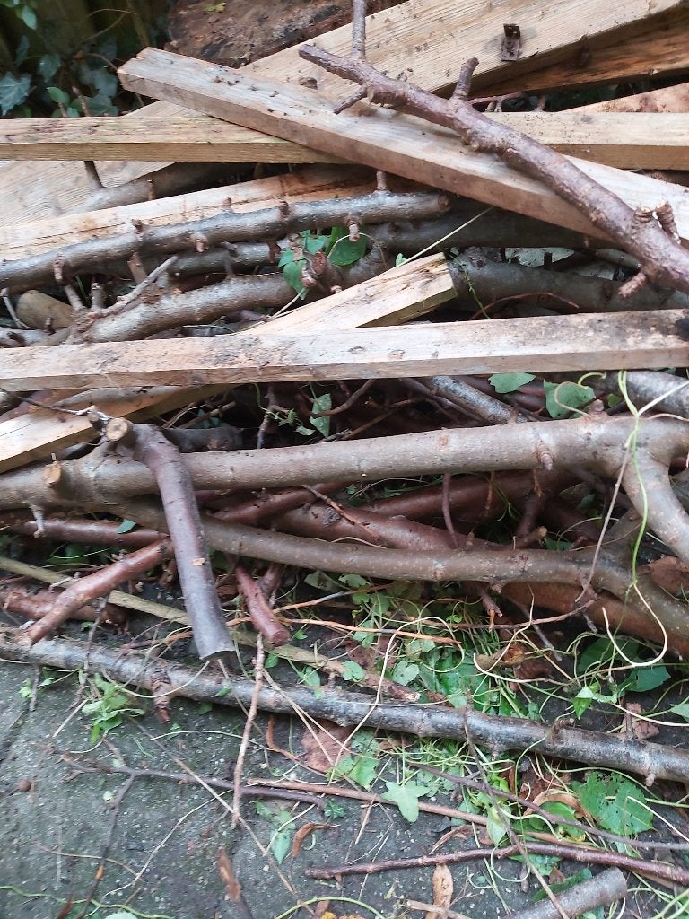 Gratis brandhout, Minder dan 3 m³, Ophalen, Overige houtsoorten, Stammen