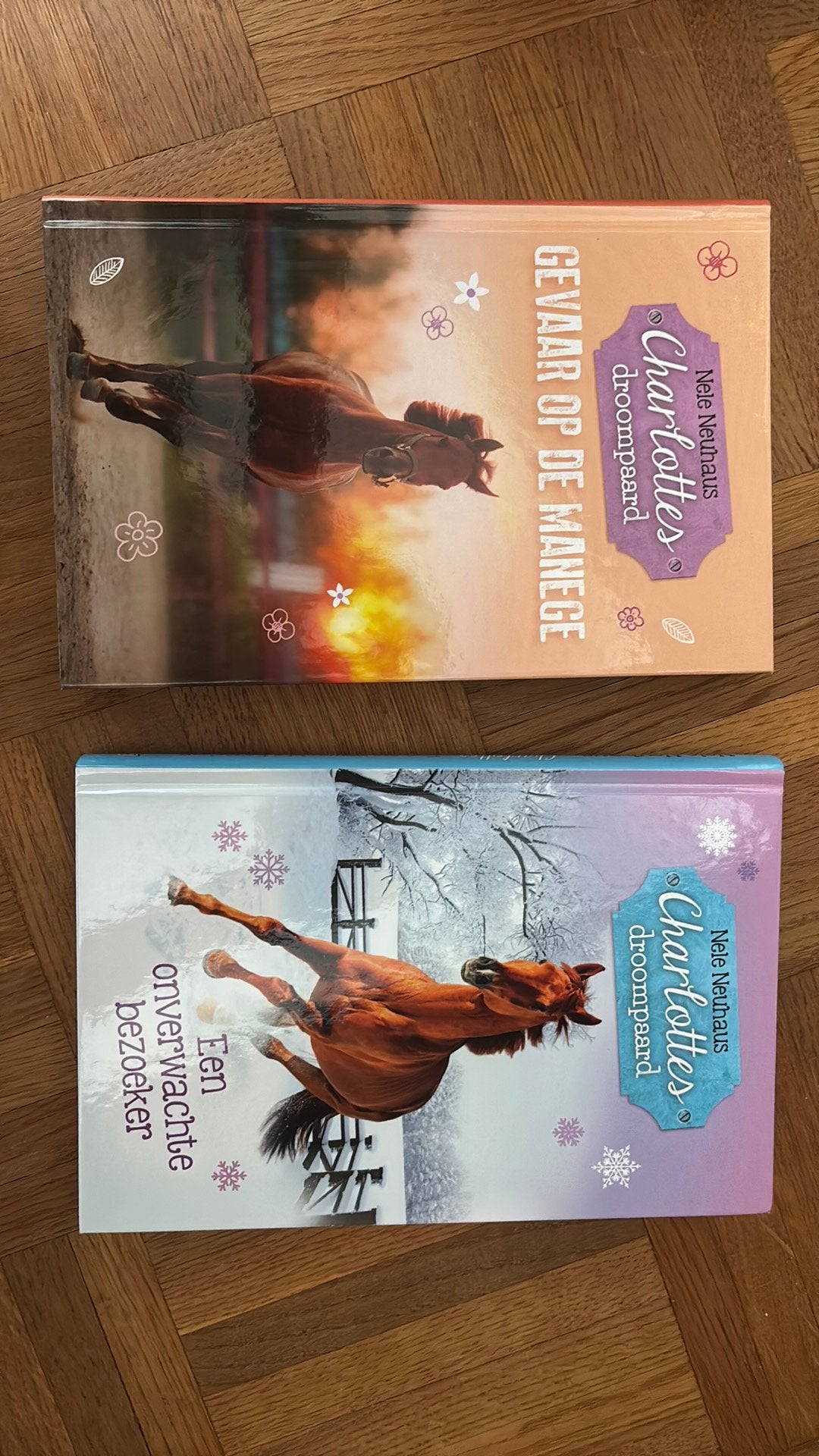 Charlottes droompaard deel 2 en 3, Boeken, Ophalen of Verzenden, Zo goed als nieuw