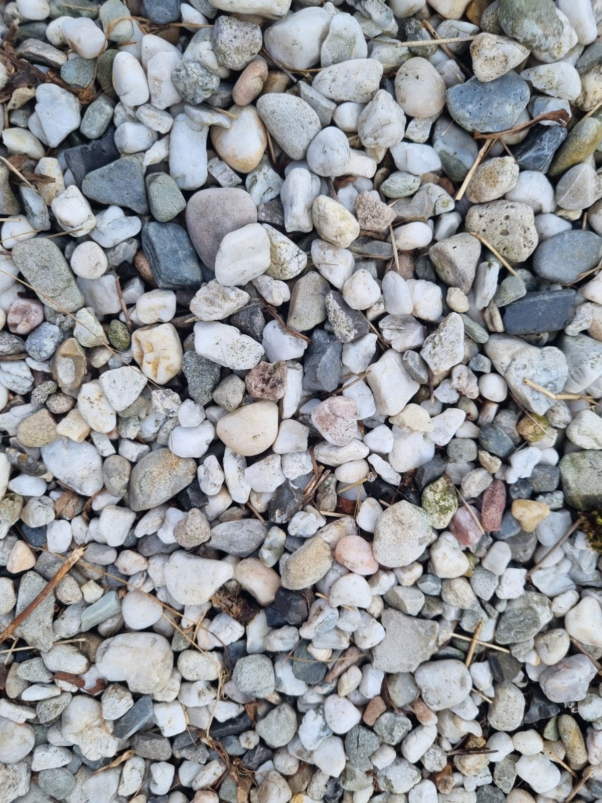 Gratis  kiezels wit grind  ca. 30 m2 limburgs grind, Ophalen, Overige materialen, Gebruikt, Wit