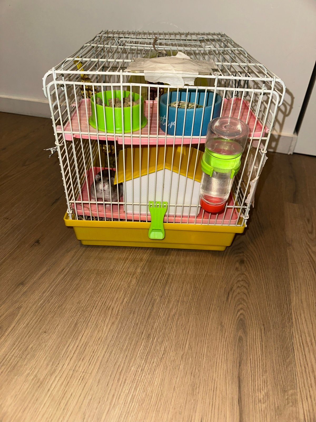 Hamster inclusief kooi en bij behorende, Dieren en Toebehoren, Ophalen