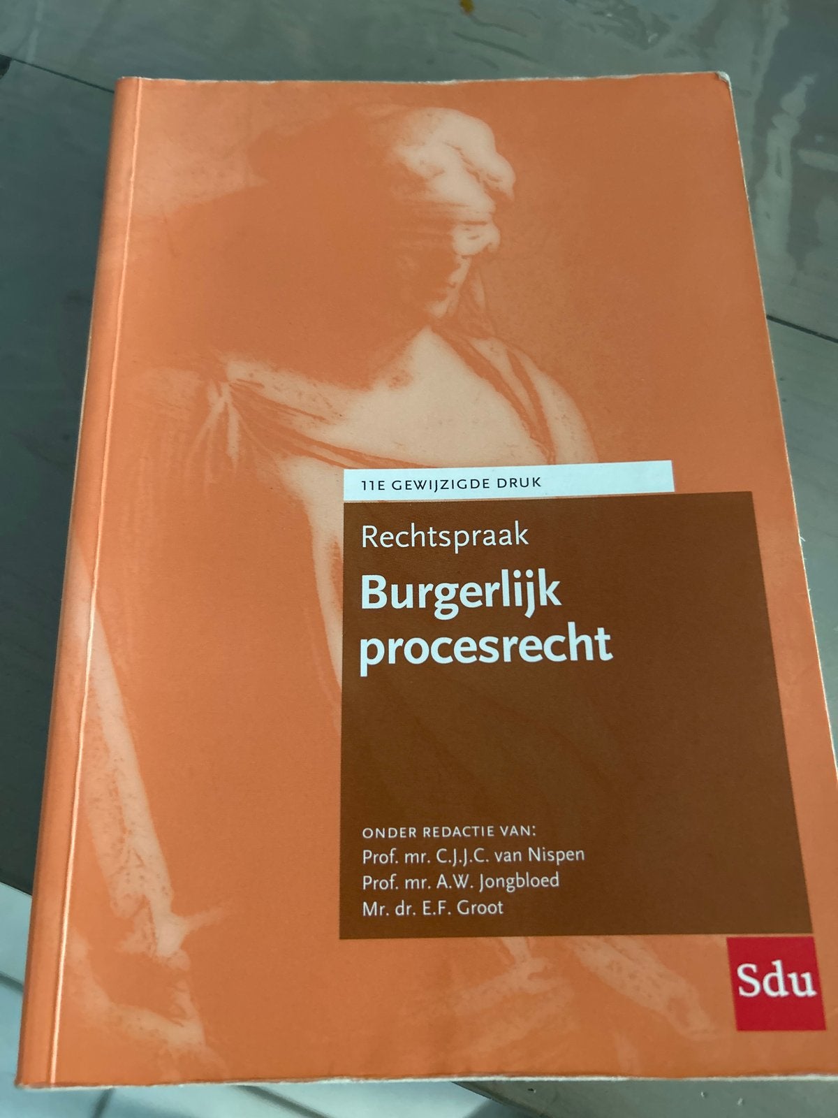 Rechtspraak Burgerlijk procesrecht 11e druk, Ophalen of Verzenden, Gamma, Gelezen, WO