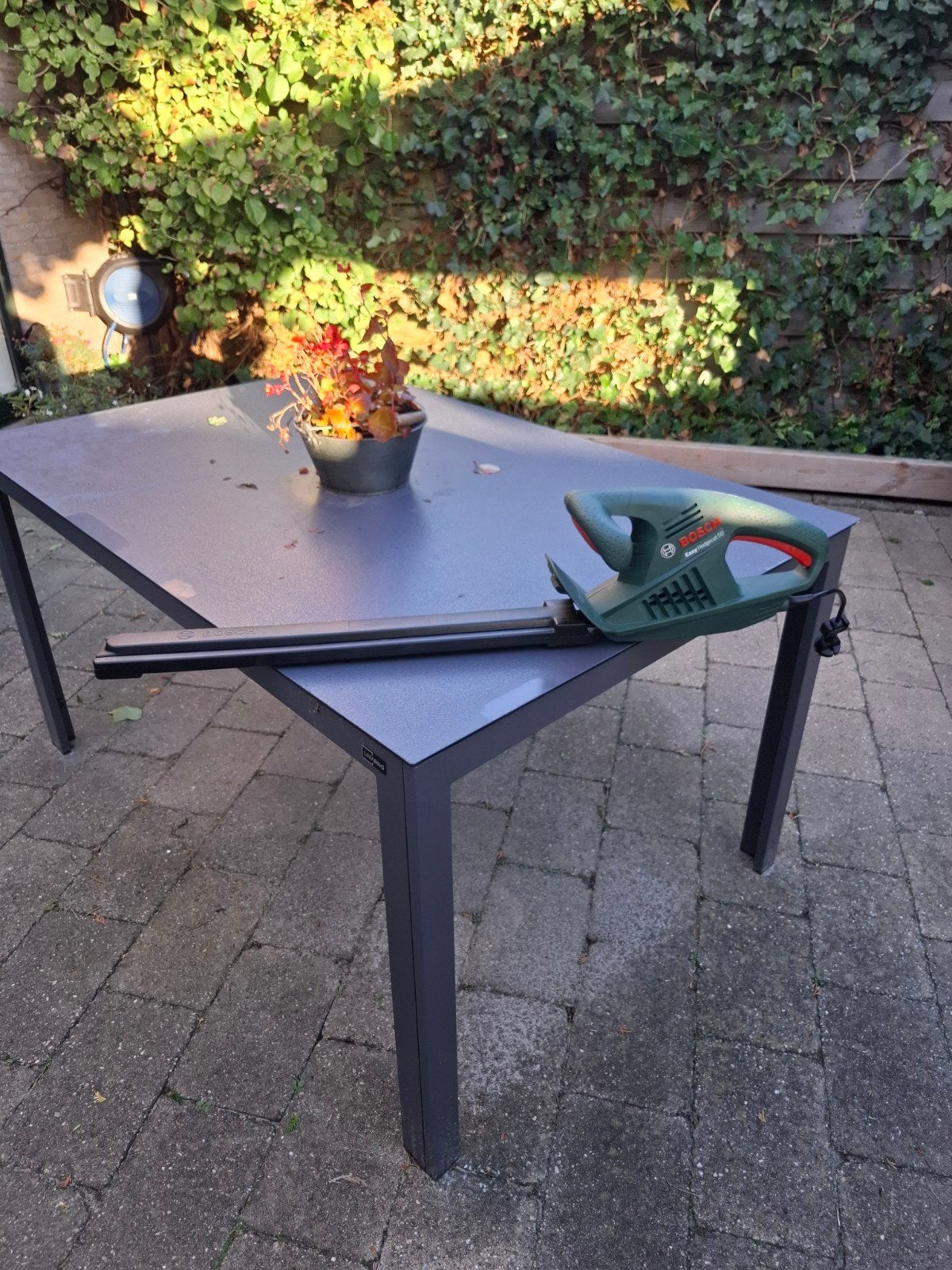 Bosch EasyHedgeCut 50 elektrische heggenschaar, Tuin en Terras, Ophalen, Gebruikt, Elektrisch, Bosch