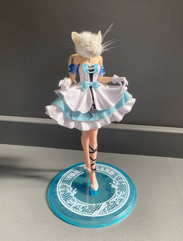 Cinderella anime muis taxidermie, Ophalen of Verzenden, Nieuw, Vogel, Opgezet dier