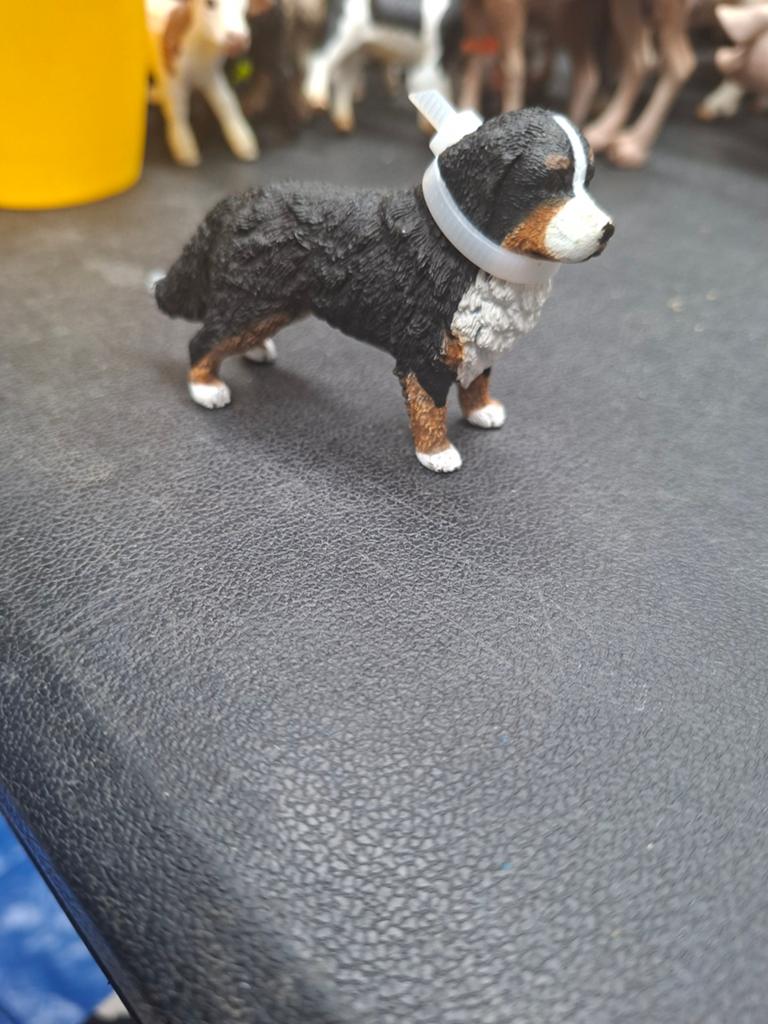 Schleich  berner senner, Ophalen of Verzenden, Zo goed als nieuw, Hond of Kat, Beeldje of Figuurtje