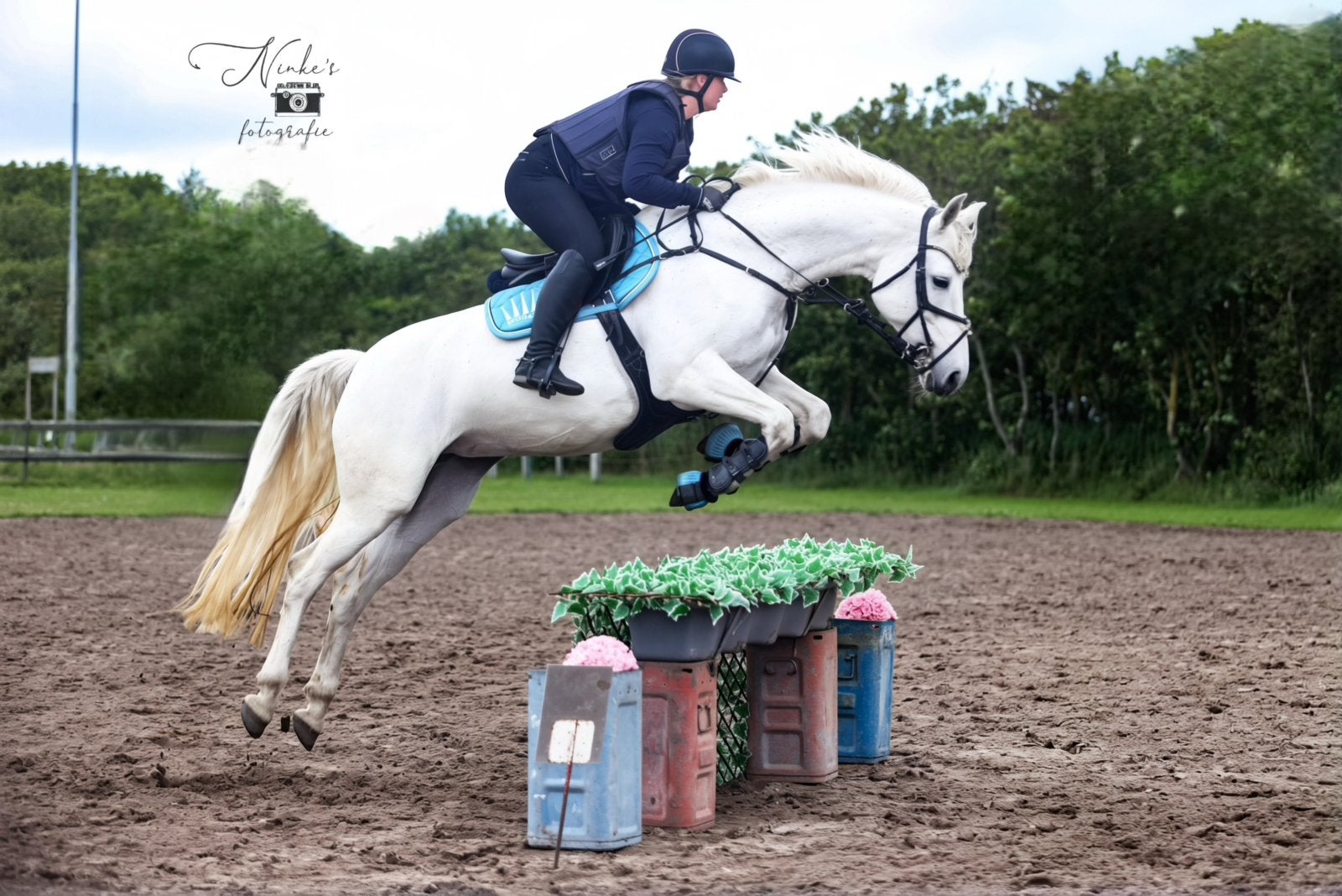 Betrouwbare lieve grote E-pony, Dieren en Toebehoren, L, 11 jaar of ouder, Merrie, E pony (1.48m - 1.57m)