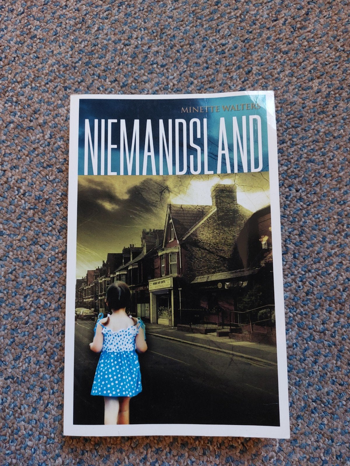 Niemandsland - Minette Walters (Thriller), Boeken, Ophalen of Verzenden, Gelezen, Minette Walters