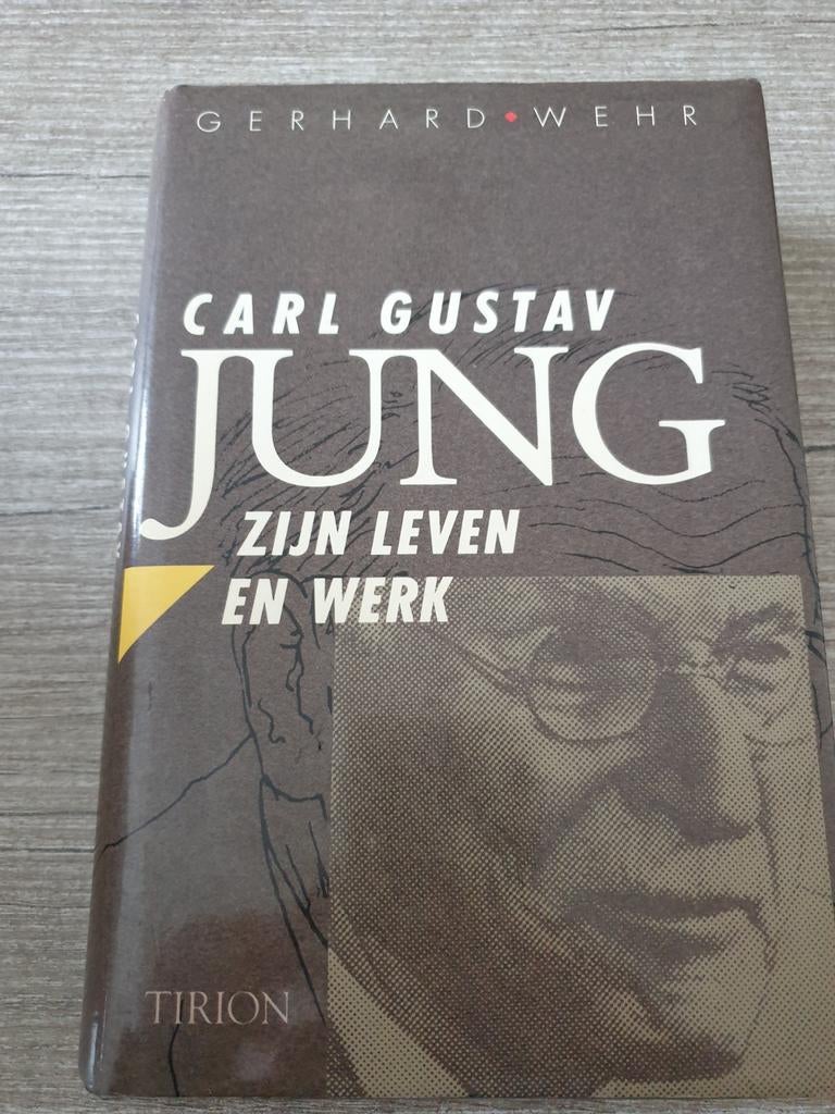 Carl Gustav Jung: Zijn Leven en Werk - Gerhard Wehr, Boeken, Ophalen of Verzenden, Gelezen, Gerhard Wehr, Esoterie en Spiritualiteit