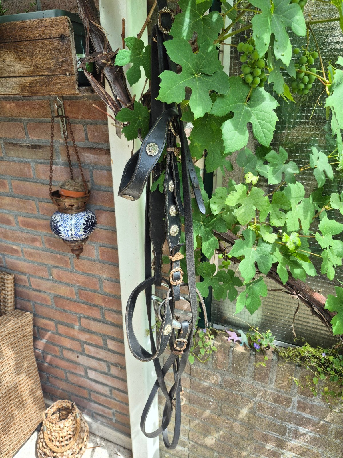 Barok hoodstel, Ophalen, Gebruikt, Hoofdstel, Full