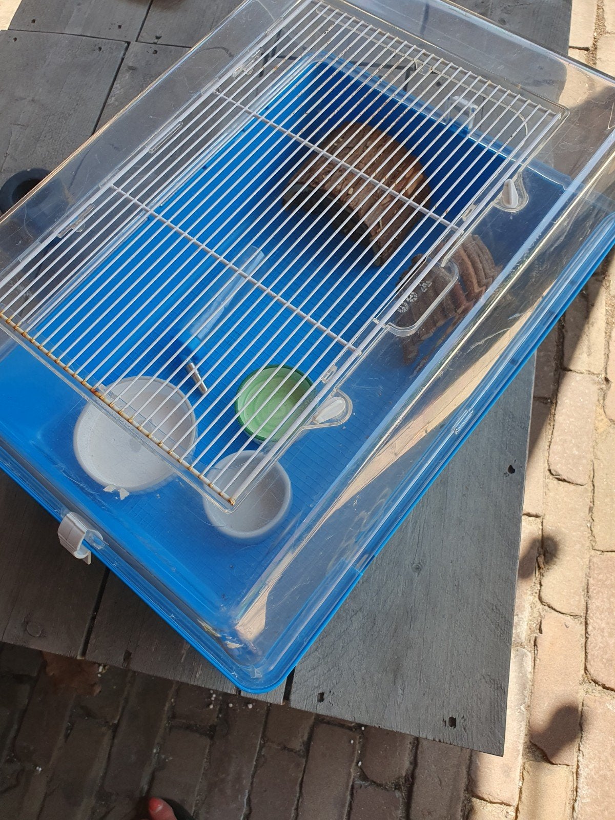 hamsterkooi, Kooi, Minder dan 75 cm, Hamster, Ophalen