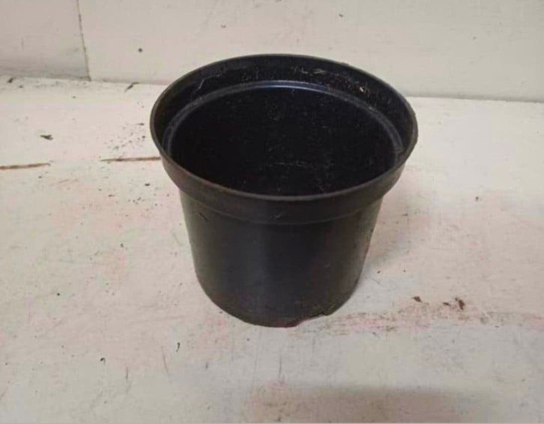 kweekpotten plantenpotten bloempotten 1,5 liter, Tuin en Terras, Kunststof, Gebruikt, Rond, Ophalen of Verzenden