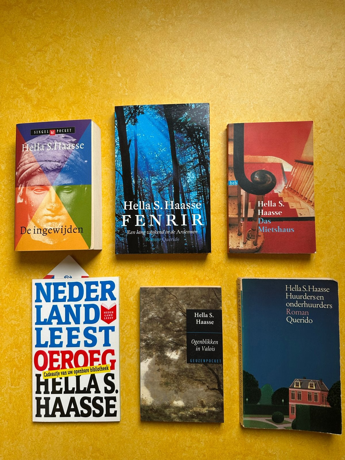 Collectie Hella S. Haasse boeken (9 stuks), Ophalen of Verzenden, Gelezen, Nederland