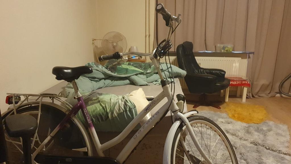 Dames fiets, Fietsen en Brommers, Fietsen | Dames | Damesfietsen, Ophalen, Versnellingen, Schijfrem, Gazelle