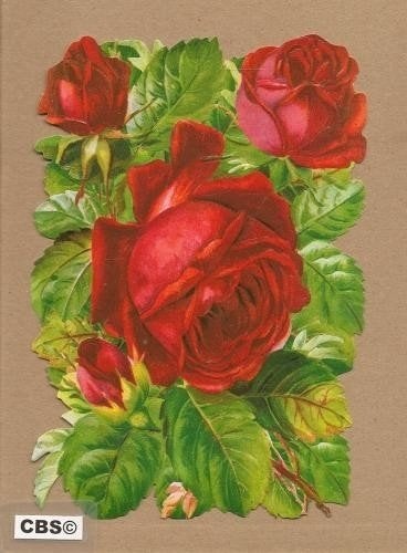Rode Rozen poezieplaatjes 5103, Ophalen of Verzenden