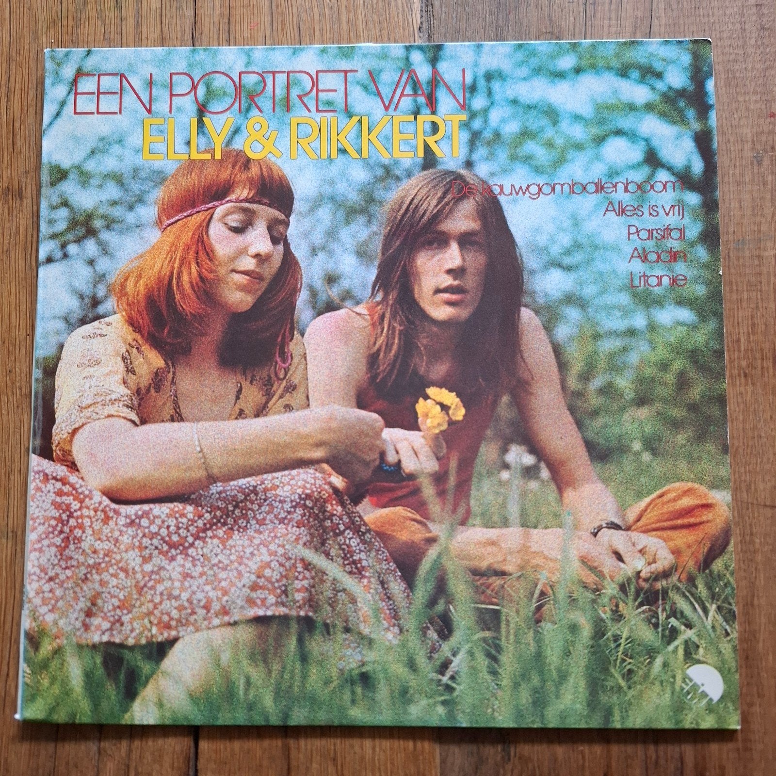 Een Portret Van Elly & Rikkert LP, LP, Gebruikt, Ophalen of Verzenden, 12 inch