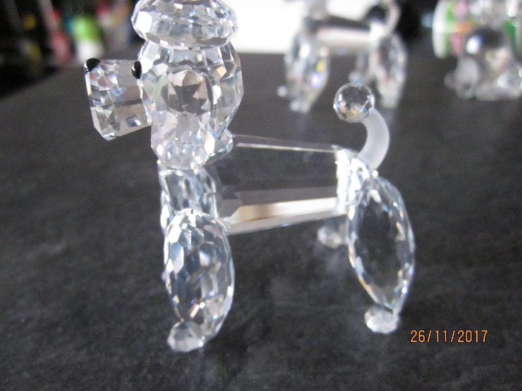 Swarovski speciale poedel met mate staart, incl. doos & cert, Verzamelen, Swarovski, Ophalen of Verzenden, Nieuw, Figuurtje