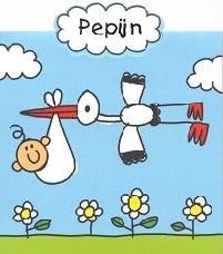 Pepijn, Ophalen of Verzenden, 2000 tot heden, Geboortekaartje